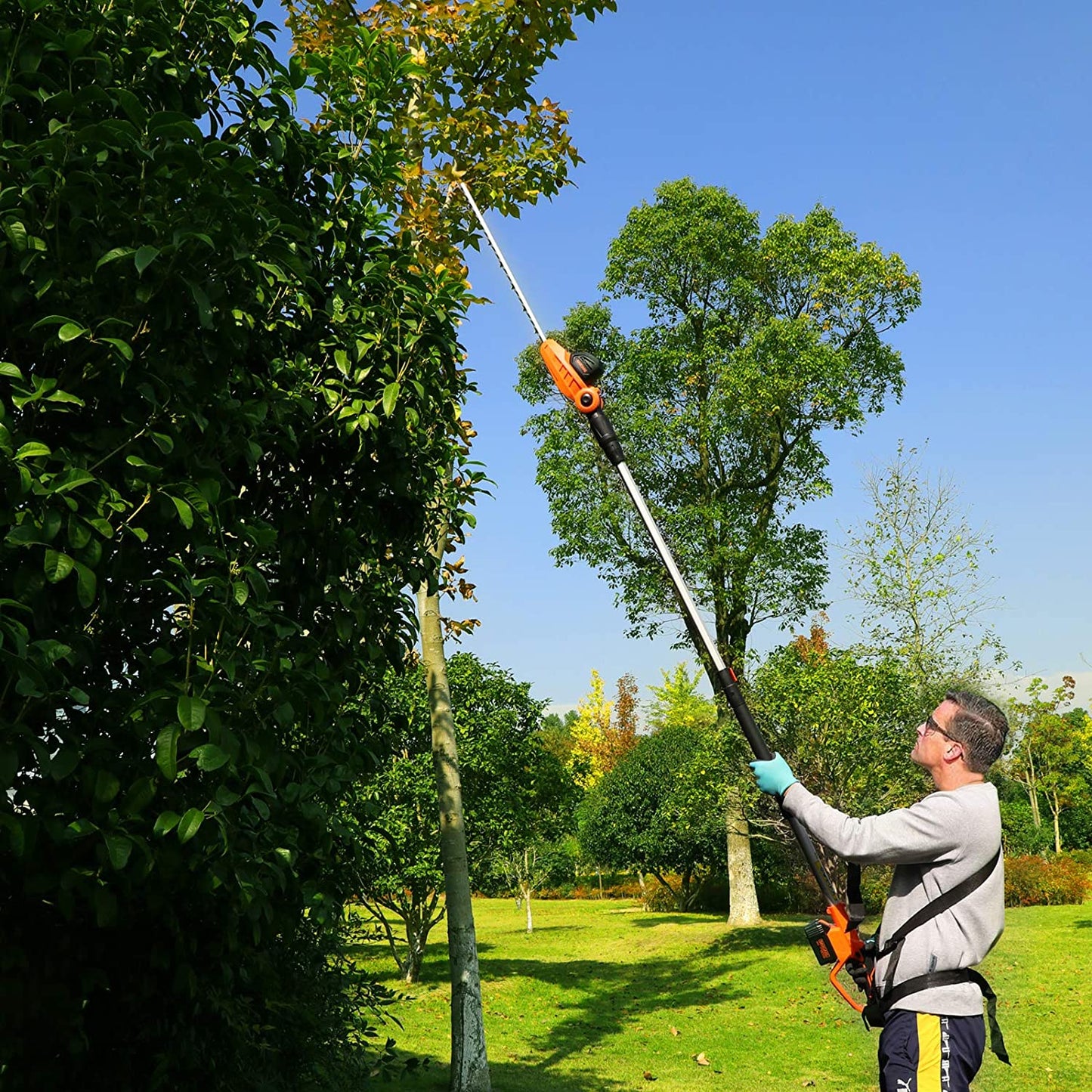 Taille de haie de thuyas par jardinier professionnel