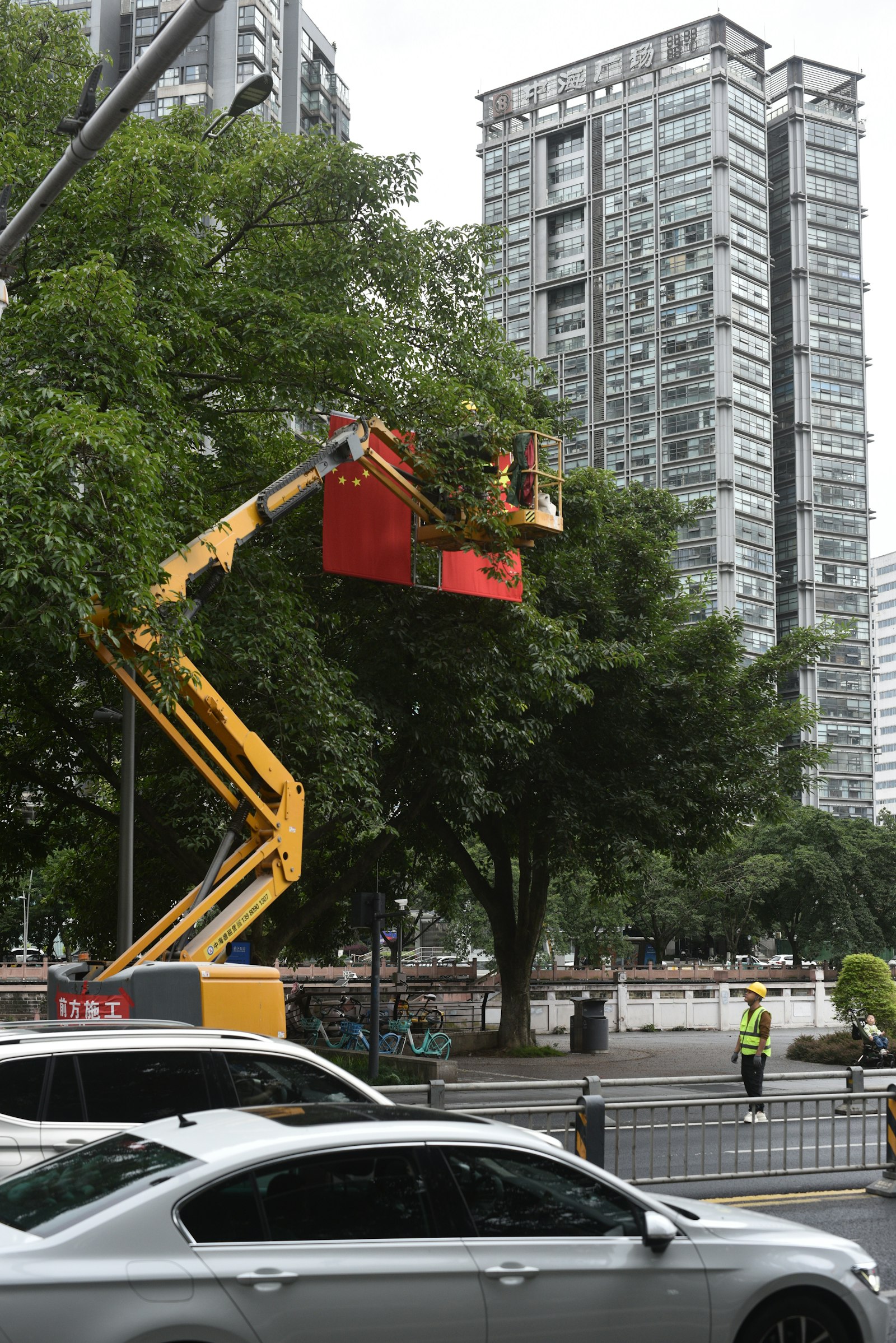 Nacelle élévatrice élaguant un arbre en milieu urbain