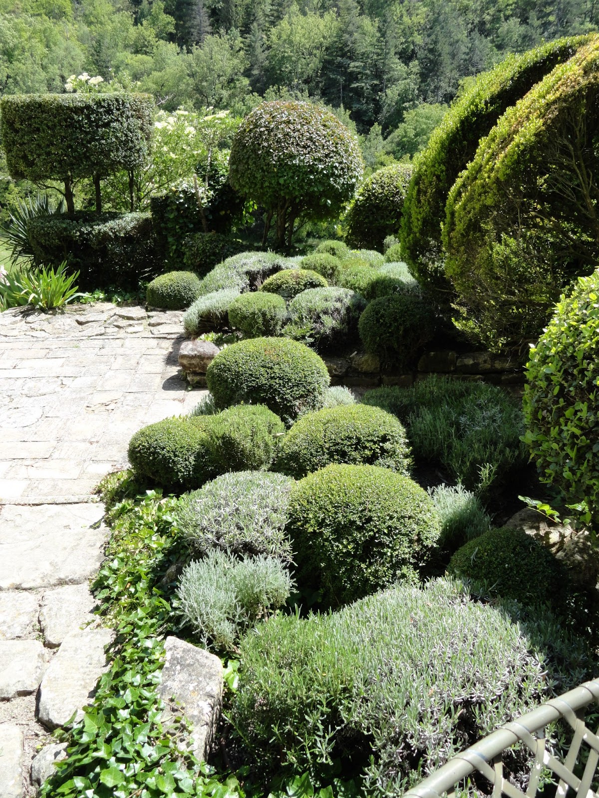 Jardin paysager méditerranéen entretenu en Vaucluse