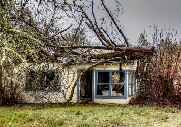 Arbre dangereux fendu menaçant une habitation